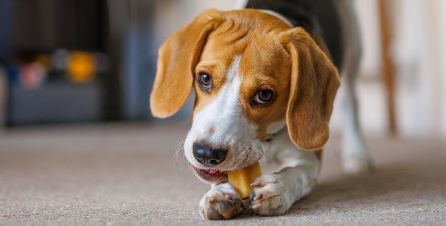 clanek 7 - pece 2026 5